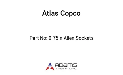 0.75in Allen Sockets