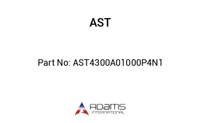 AST4300A01000P4N1