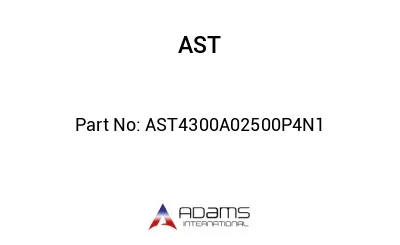 AST4300A02500P4N1