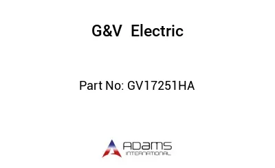 GV17251HA