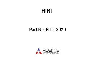 H1013020